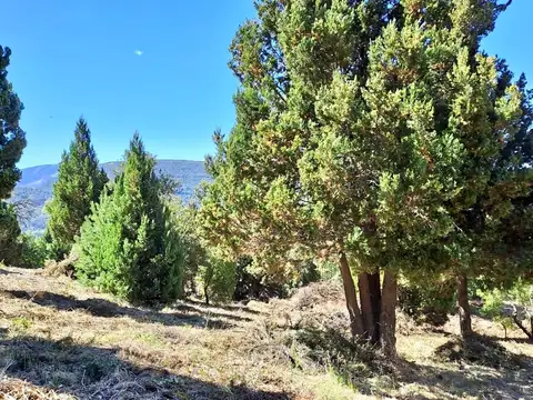 Terreno en Venta en San Martin De Los Andes, USD 70.000
