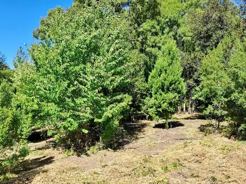 Terreno en venta San Martin de los Andes