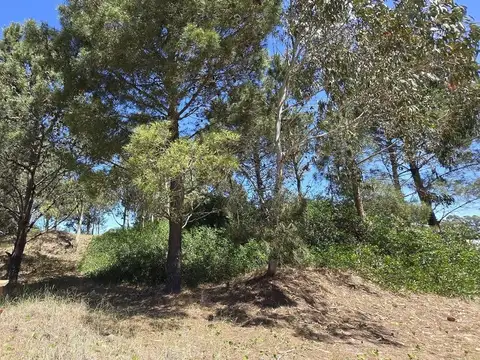 LOTE VENTA ECUESTRE COSTA ESMERALDA VISTA AL CAMPO