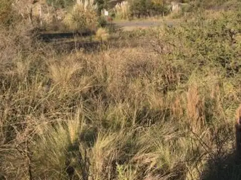Terreno en Venta de 15000,0 m2
