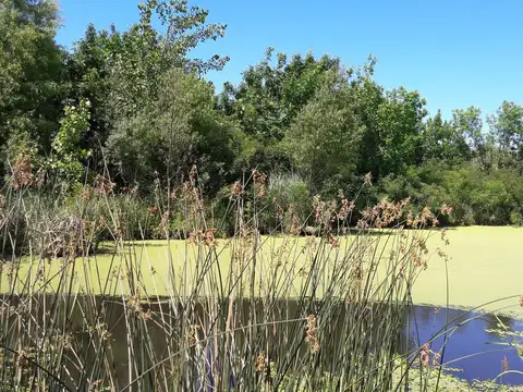 Terreno en Venta de 843,0 m2