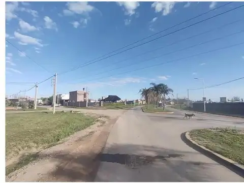 Terreno en Venta 50  mts Fondo