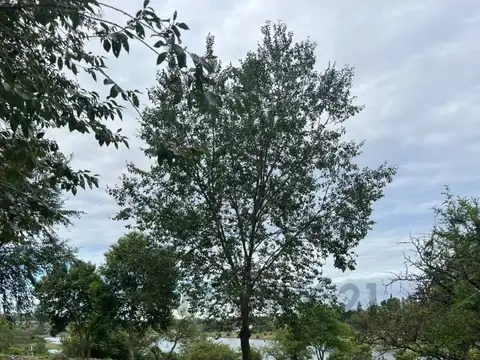 Barrio del Lago – Los Espinillos, Potrero de Garay 5CFJ+9H9 100, Piso 0