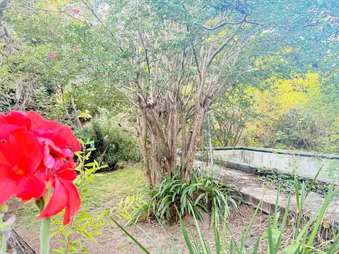Terreno en Venta 50  mts Fondo