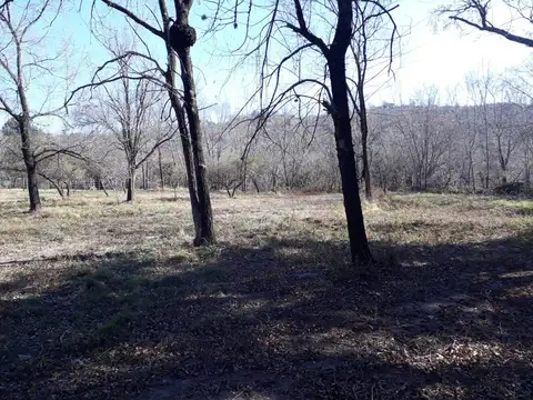 Terreno en Venta 41  mts Fondo