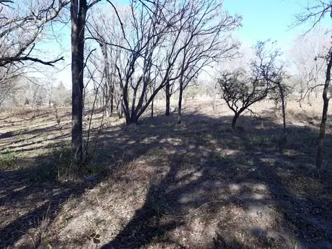 Terreno en Venta 41  mts Frente