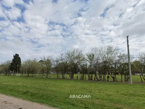 Camino Real