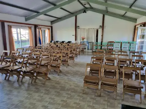 Los Tulipanes al 3100