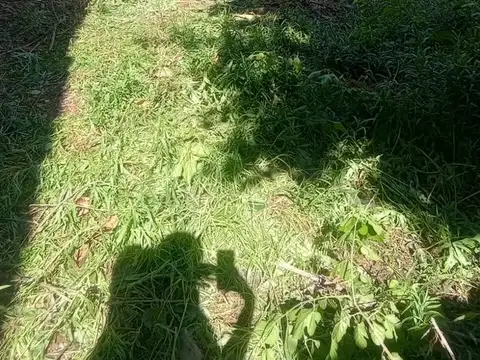 Rastreador Fournier  al 2400