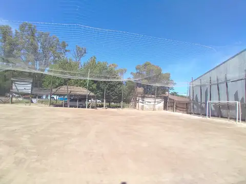 PILA - ZONA HOSPITAL  AUSTRAL - TERRENO de 489 m2- FRENTE A RUTA 234  -  IDEAL  COMERCIO  