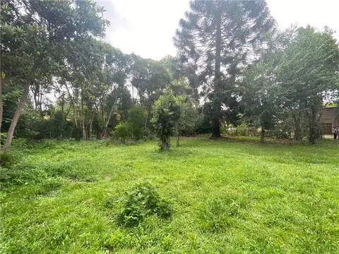 Terreno en Venta 10  mts Frente