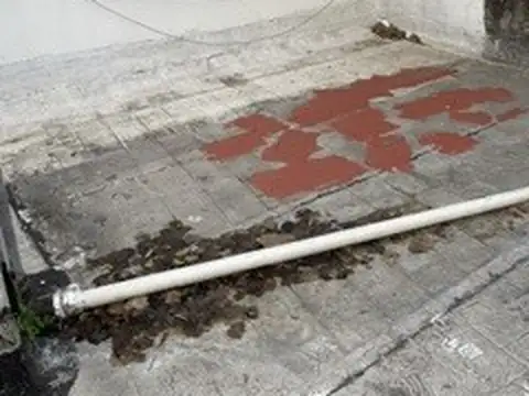 Depto Tipo Casa en Alquiler de Monoambiente