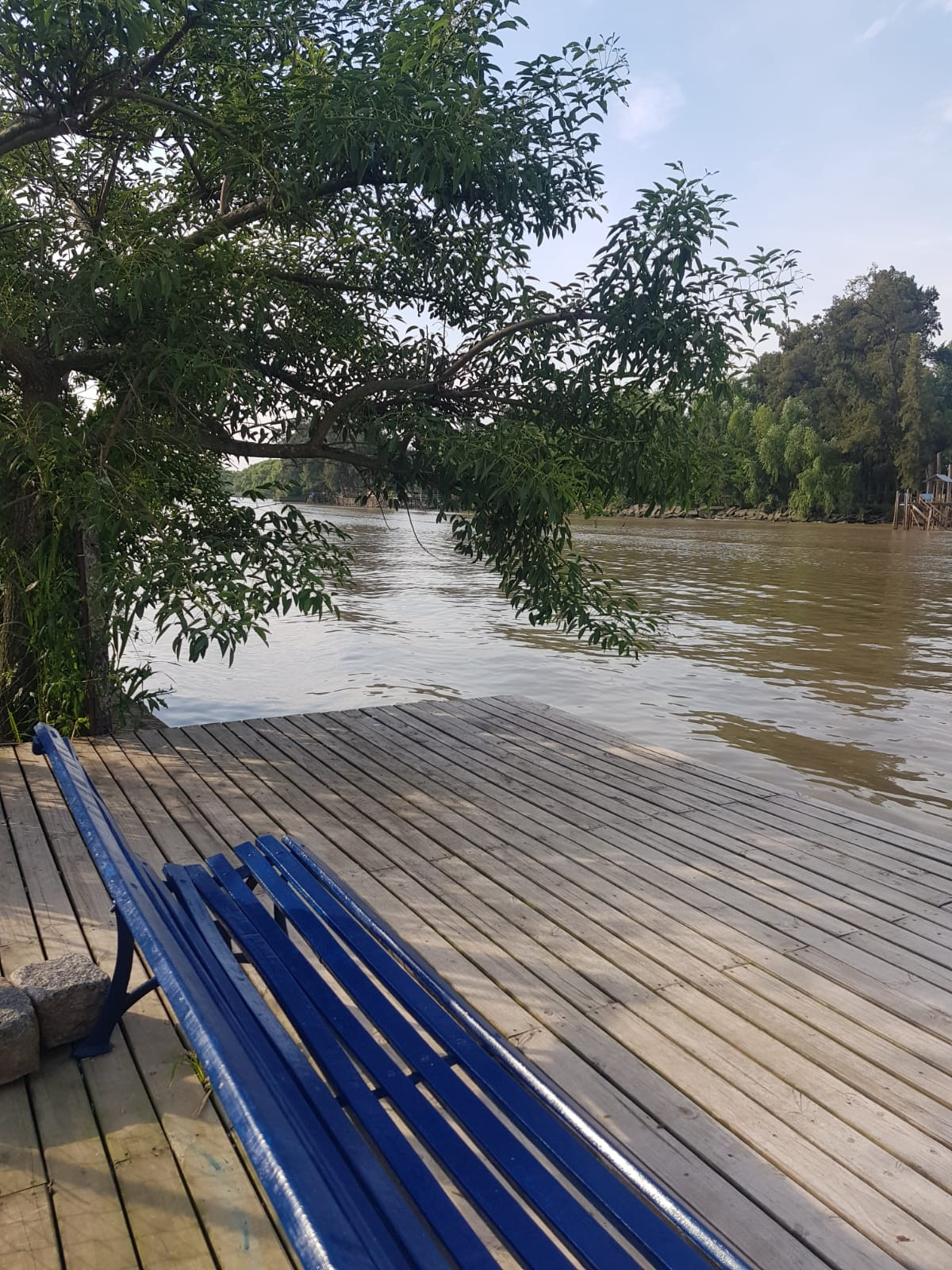 Avenida Agustin M.  garcia 8700