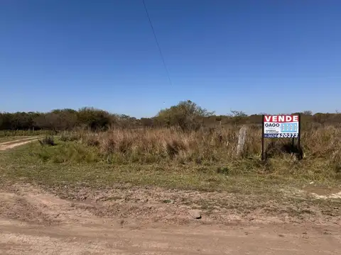 9 HECTAREAS EN VENTA- Camino a Colonia Benitez