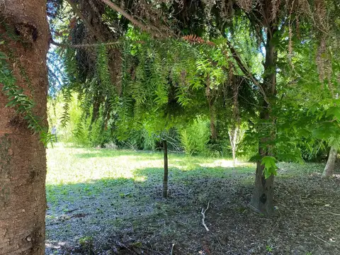 Lote Fernando Hugo y Las Retamas 100