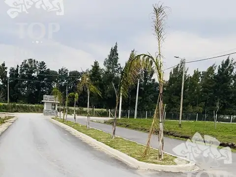 Ruta 6
