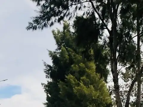 Terreno en Venta de 360,0 m2