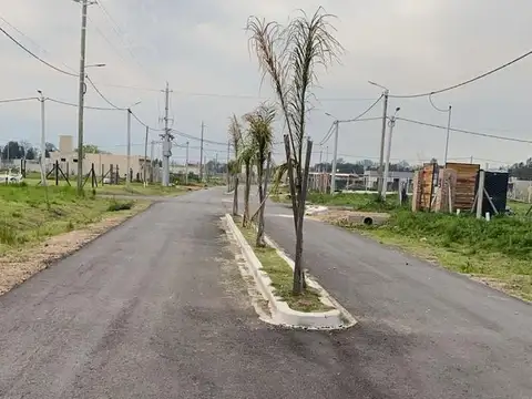 Ruta 6