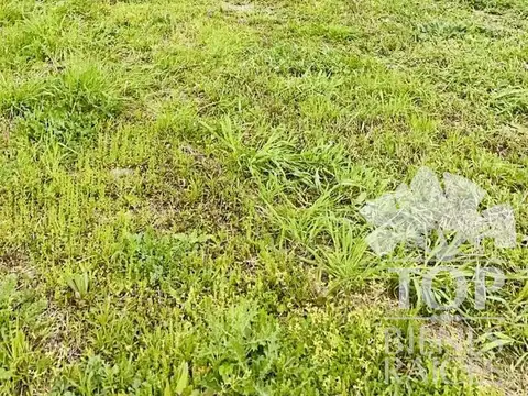 Terreno en Venta de 360,0 m2