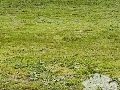 Terreno en Venta en Campana, USD 25.000