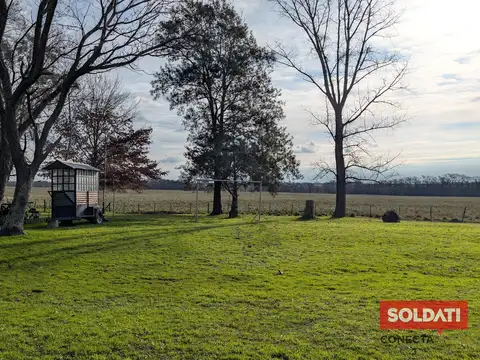 Campo de 10 hectáreas en alquiler