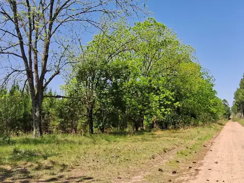 Terreno en Villa Zorraquín