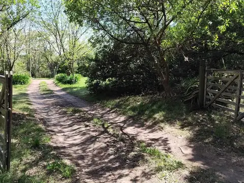 Gran Lote de 9474m² En Venta en Radial Rosario