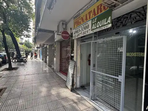 Capitán General Ramón Freire 2400