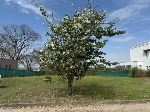 Terreno en Venta de 805,0 m2