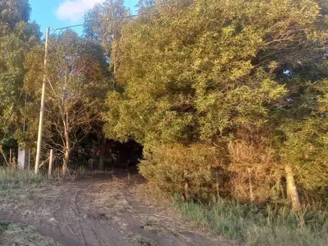 Lote quinta en Reta 40 por 50