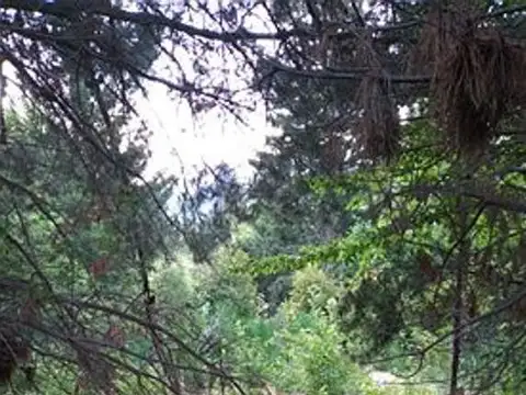 Terreno en Venta 44  mts Fondo