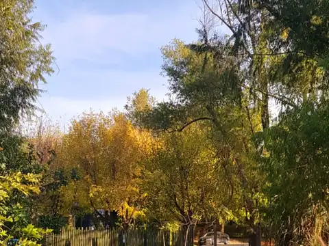 Casa en Venta en Santa Maria del Tigre, USD 980.000
