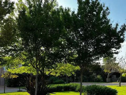 Casa 5 ambientes con 5 baños