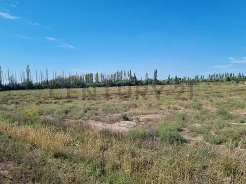 Coronel Campos 500, Piso 0