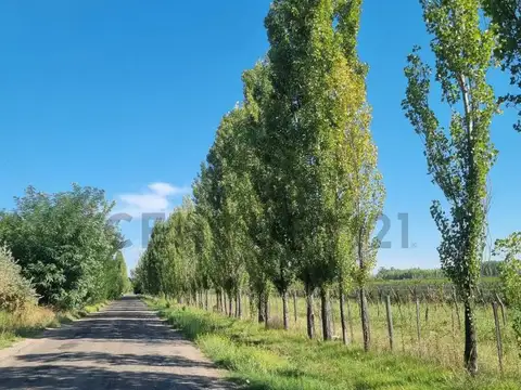 Coronel Campos 500, Piso 0