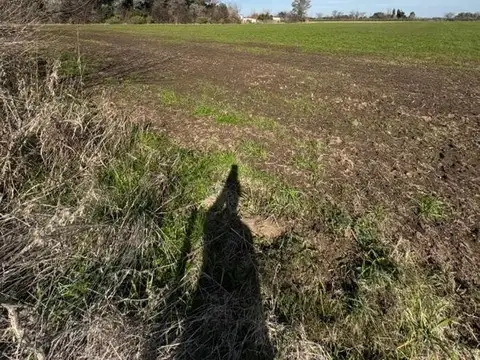 Venta de Campo en Cortines