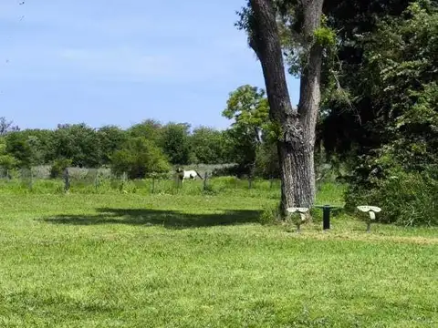 VENTA/ CAMPO/ LOS CARDALES (EXALTACION DE LA CRUZ)