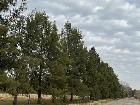 Cerrito Y Hernández
