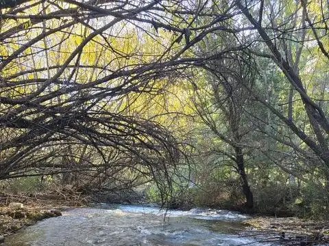 Fracción 7,5 Has en El Bolsón