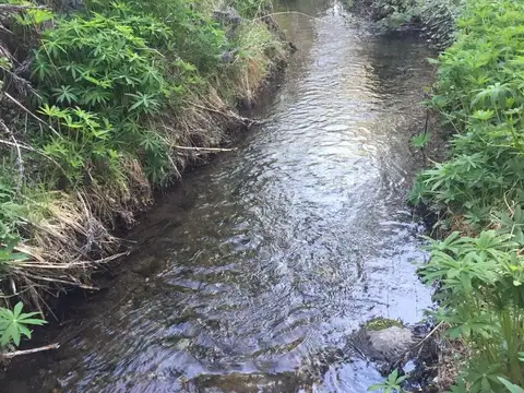 Terreno en Venta de 75000,0 m2