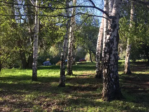 Excelente fraccion de 7,5 hectareas en el Bolson Ruta 40 KM 1927 con algunas construcciones