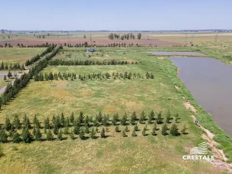 Campo en venta - Haras de Funes