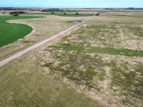Campo en venta - 50 Hectáreas - General Madariaga