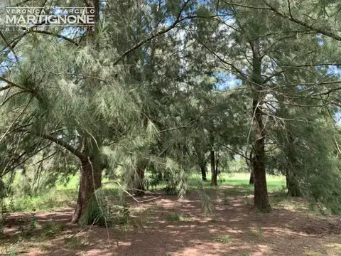 Terreno en Venta de 4166,0 m2