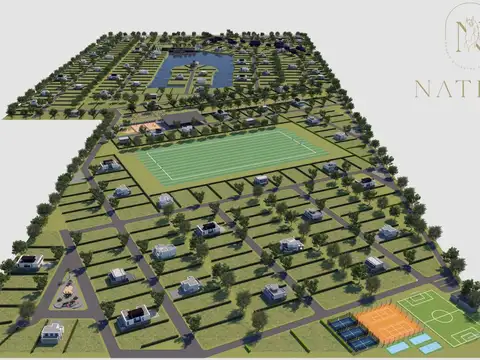 Calle 70 (Bancalari)