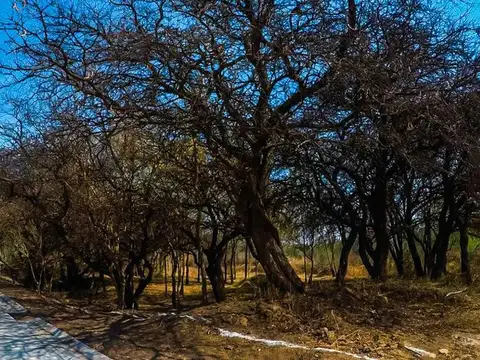 Terrenos en venta. En Barrio Privado Chacras del Zorzal, Las Chacras, Juana Koslay