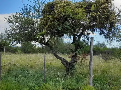 Terreno en Venta en San Lorenzo, USD 10.000