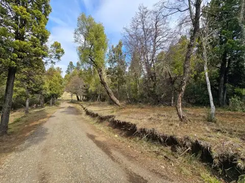 Laguna Brychan