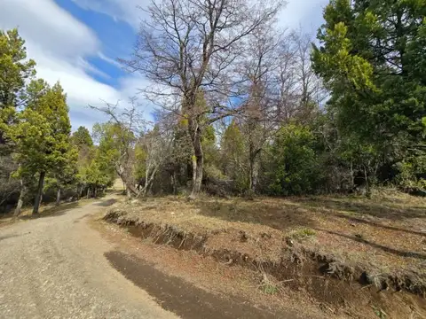 TERRENO DE 1 Ha EN PARQUE LAGUNA BRYCHAN