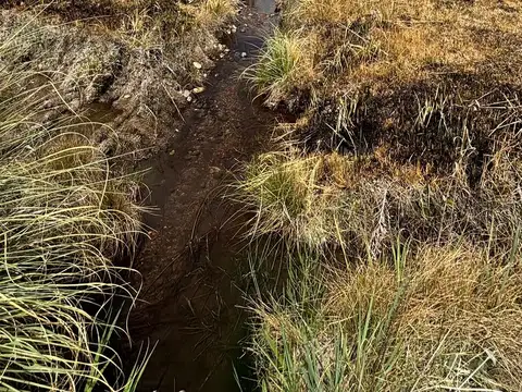 Terreno en Venta en La Primavera, USD 140.000